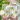 72ad01a2f3b542559586661914473618-goods.jpeg