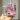 a7e2df0472e94c8294da672f27ee1473-goods.jpeg